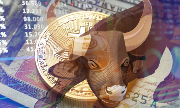 The Next Bitcoin Bull Market