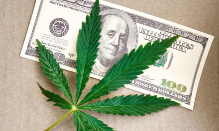 Cannabis stock