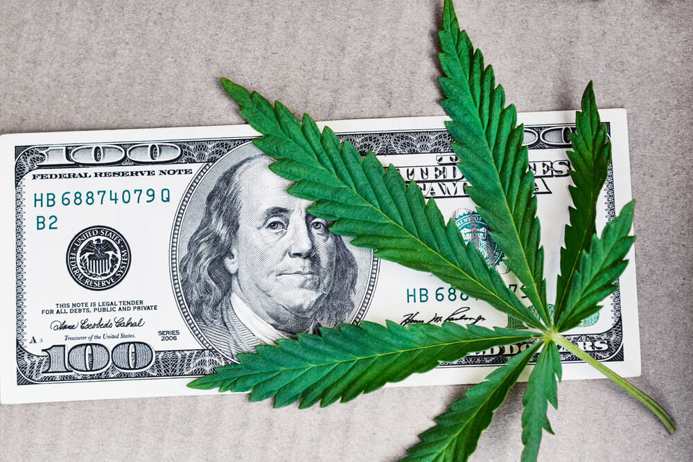 Libertarian Senate Candidate Discloses Cannabis Investments