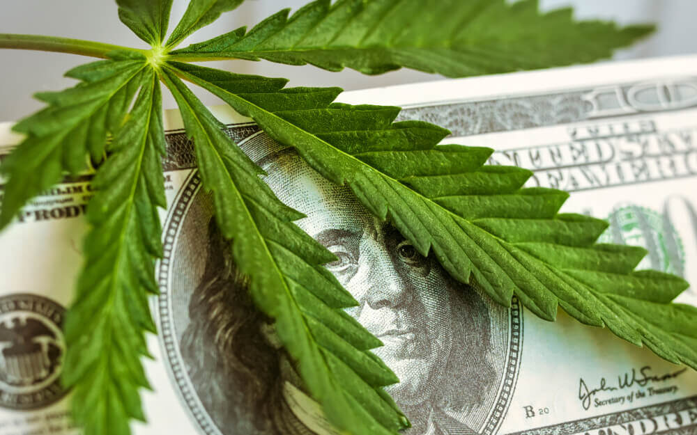5 States’ Cannabis Legalization Measures + IMCC Analysis