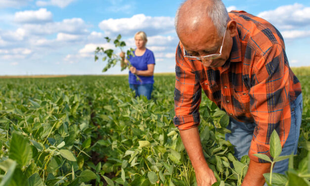 China Steps Up Propaganda Drive to Turn Farmers Against Trump, GOP