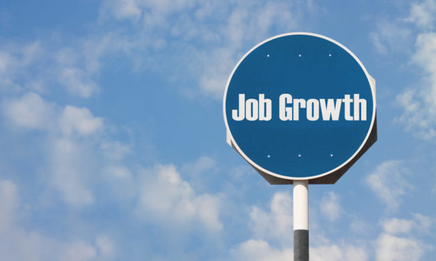 Employment Data Doesn’t Add Up