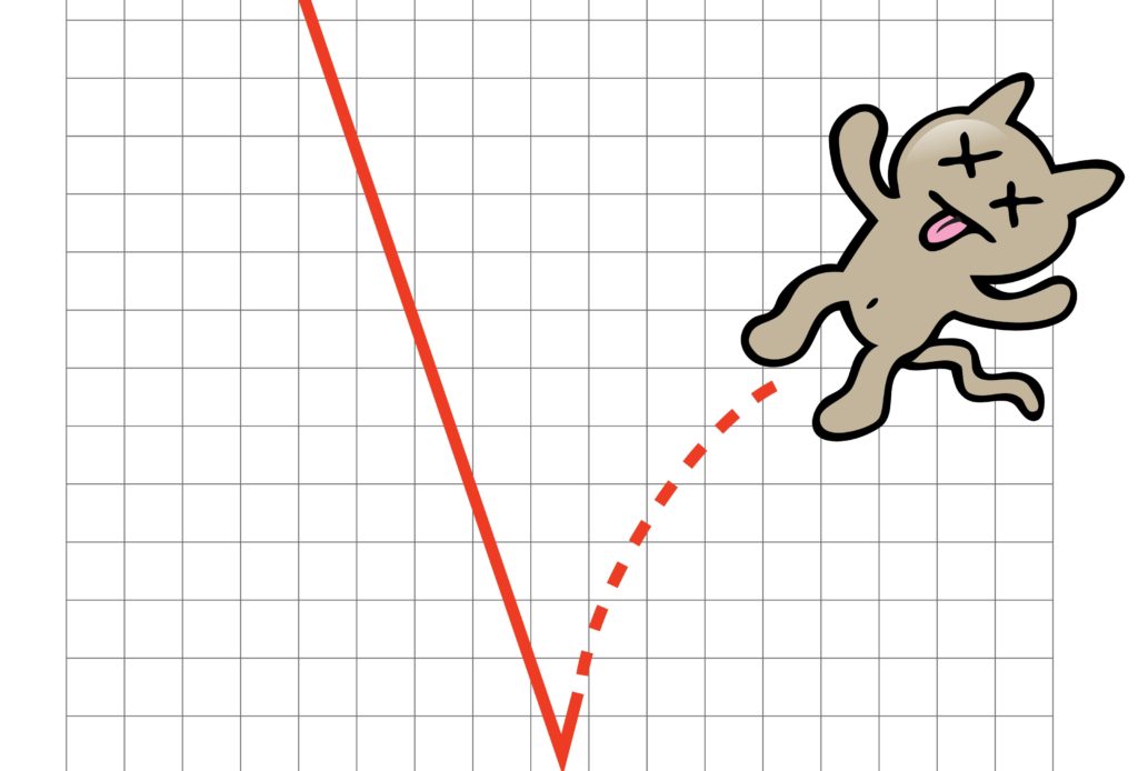 stock market bounce