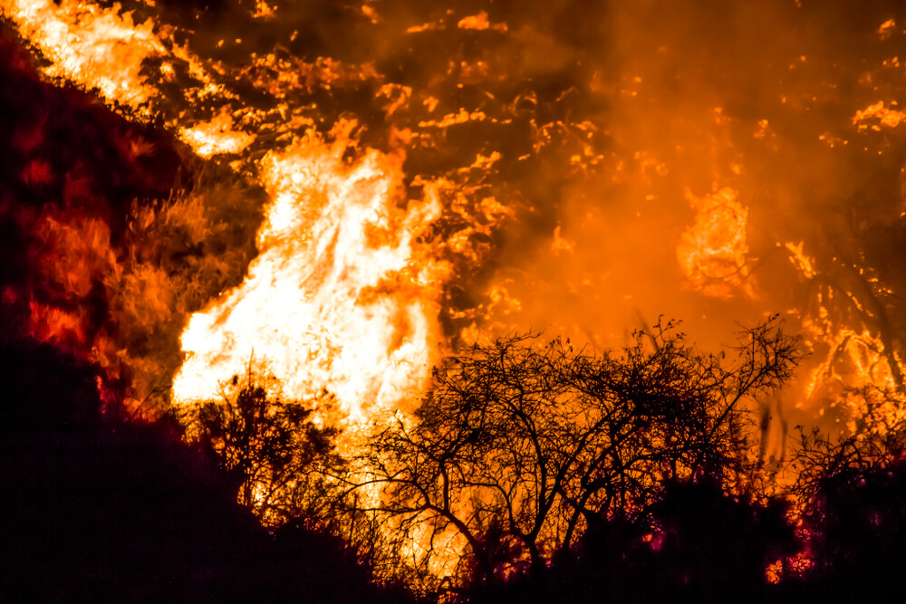 PG&E Filing for Bankruptcy While CEO Walks Away With Millions