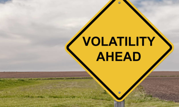 Analyst: Fed Rate Pause is ‘Canary in the Coal Mine’ for Stocks
