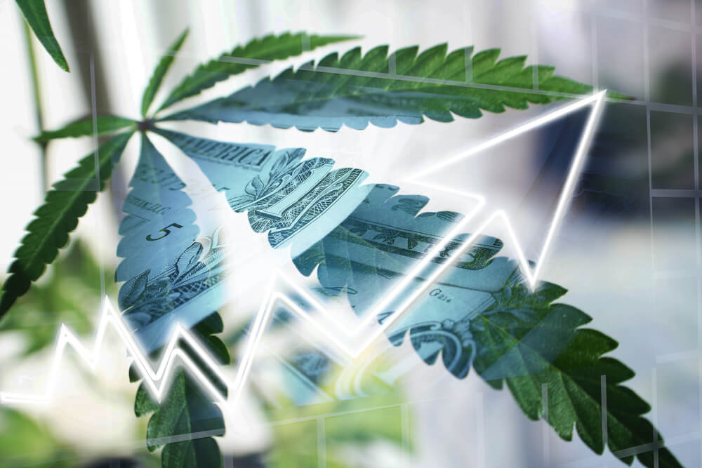 Weiss: What Could Proposed Cannabis Laws Do to Industry?