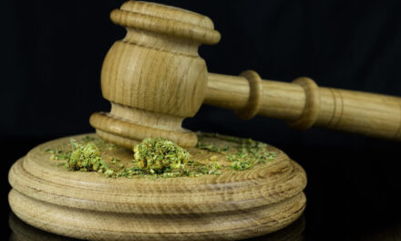 cannabis-New York cannabis legalization