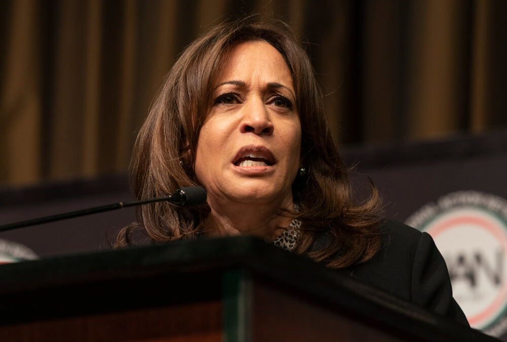 Kamala Harris’ New ‘Bernie Lite’ Health Plan Draws Fire From All Sides