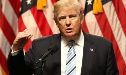 Trump payroll tax cut Trump tax returns