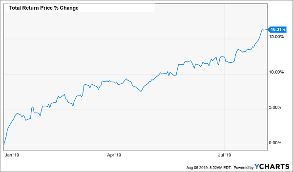 dividend