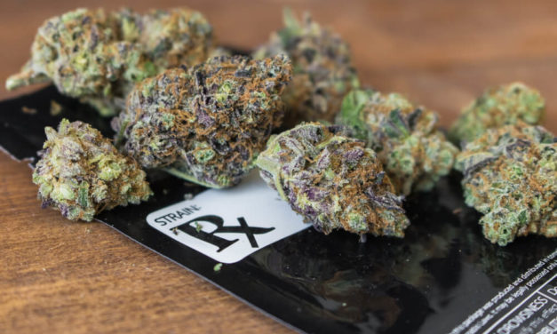 Louisiana Launches Medical Marijuana Program After Years of Waiting