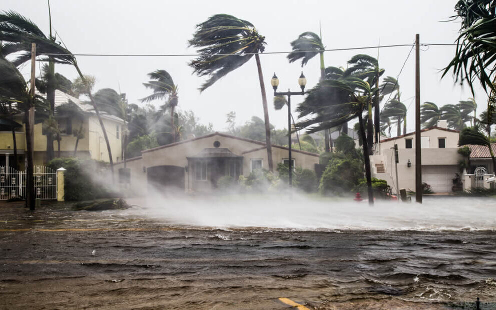 Perfect Electrical Power Stock Helped Community Endure Hurricane Ian