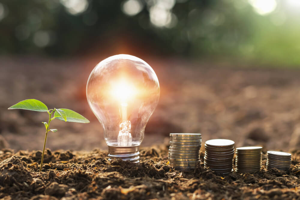 Build Backwards Better? Renewable Energy in 2022