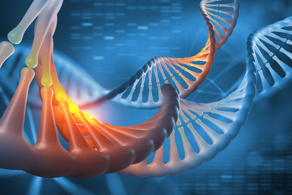 This Little-Known Biotech Segment Is Poised for a Breakout