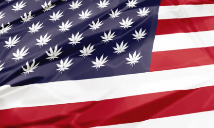 cannabis stocks election