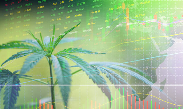 The Global Cannabis Trend + New Leaf Stock (NLVVF) Analysis