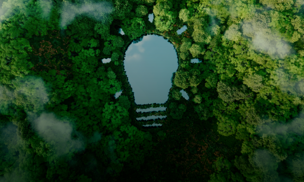Green Grid Fortunes: 3 Mega Trends Collide in Argentina