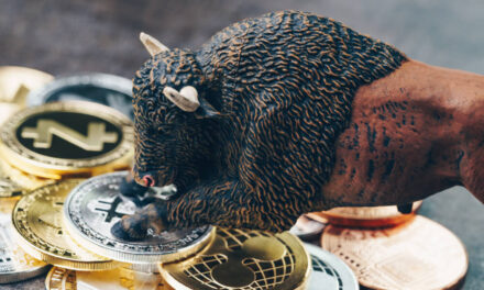 crypto expert