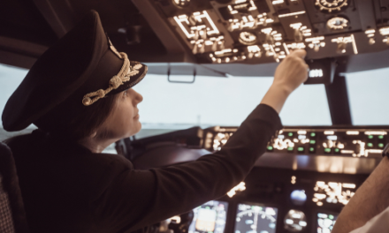 pilot flies plane