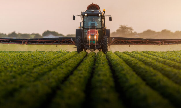 AI Meets Agriculture — 1 Pioneering Company Makes It Happen