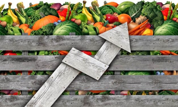 Even as Inflation Falls, Food Prices Are Stuck in the Clouds