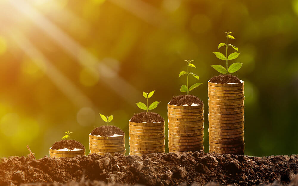 I’ve Cracked the Hedge Fund Code