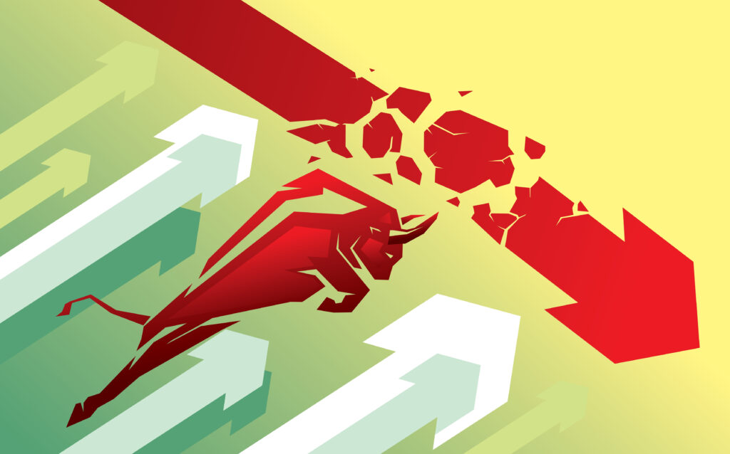 bull market new bulls