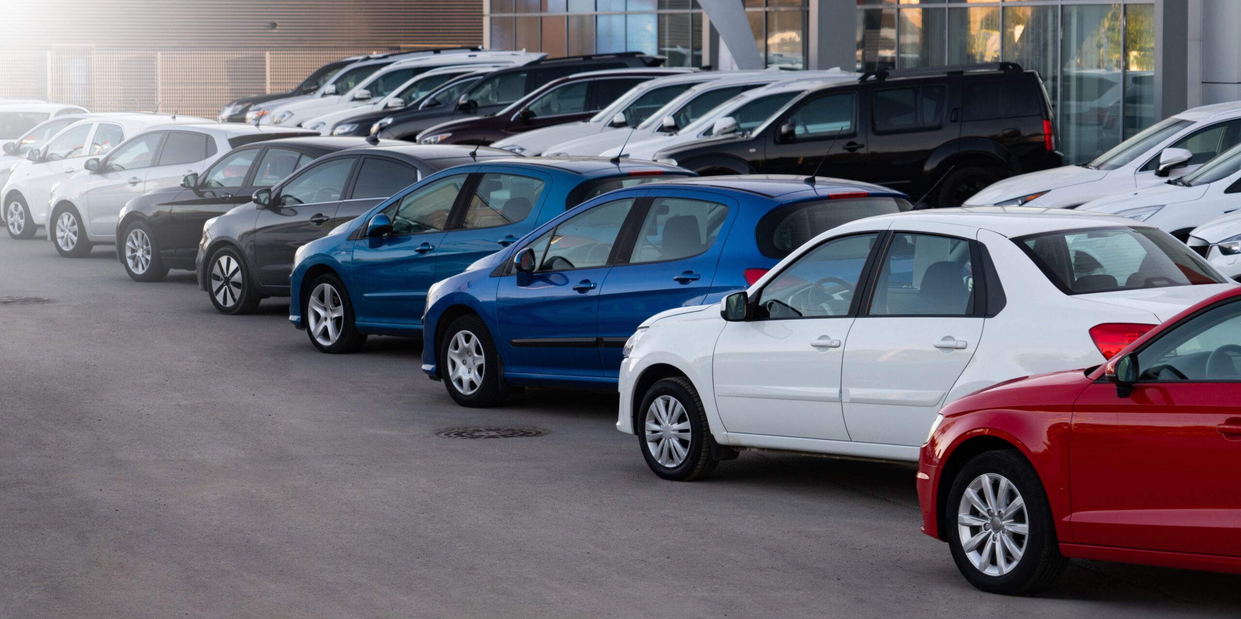 A Bull Market In… Auto Stocks?!? | Money & Markets