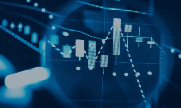 The Anatomy of a 50X Winner… And How to Pick the Next One