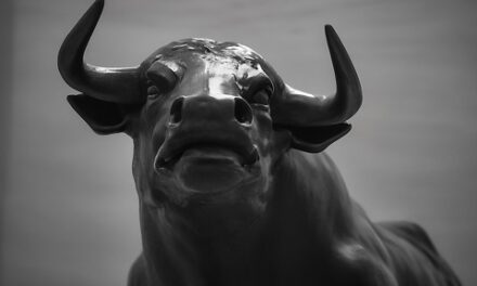 The Quiet Bull Market You Missed