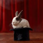 The Earnings Story Hiding in Plain Sight