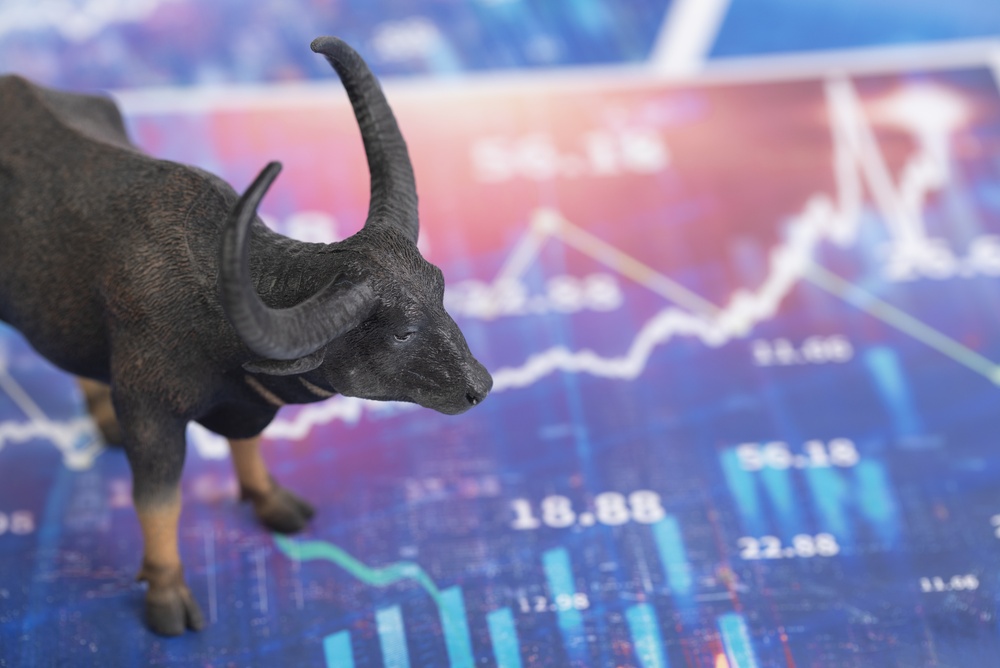 New Bulls for the Week: Fine Lingerie and Fast Fashion
