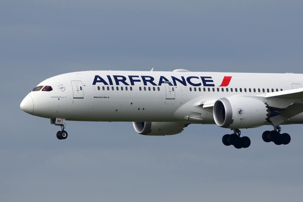 Air France’s Stock Sinks As Government Warns On Its Future