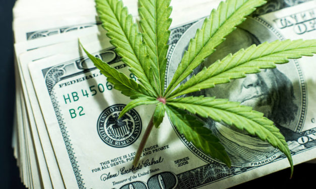 Legal Marijuana Industry Spending Millions to Shake ‘Stoner’ Stereotype