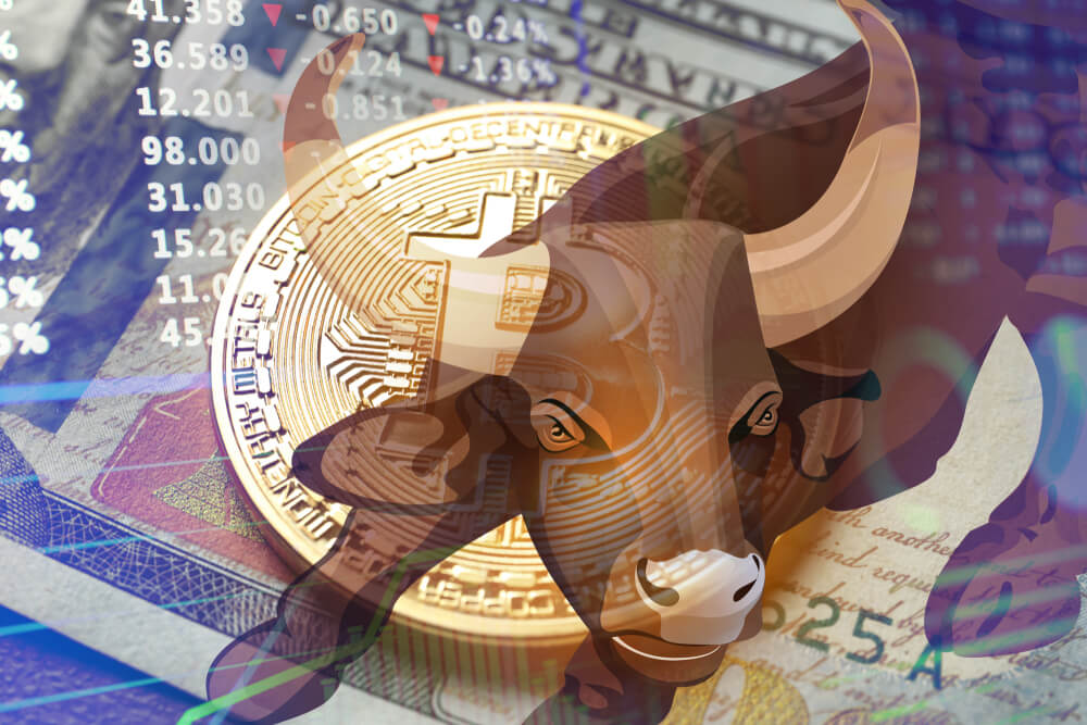 The Next Bitcoin Bull Market