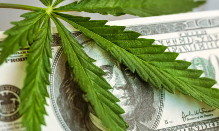 Maine’s Legal Cannabis Sales Likely to Start in Spring 2020