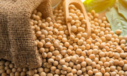 US Farmers Store Record Soybean Crop as China Trade War Weighs
