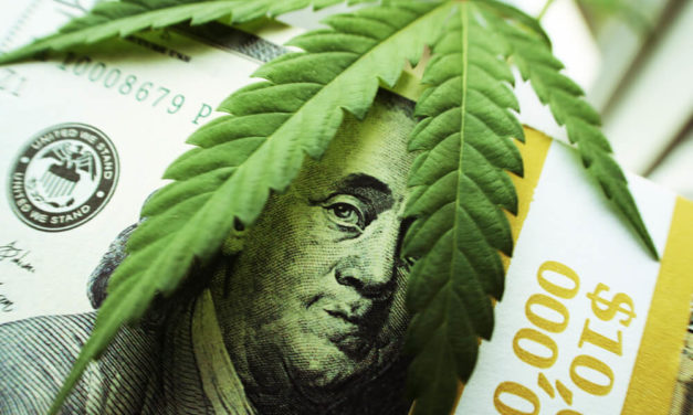 Here’s Why Cannabis Stocks Continue to Struggle