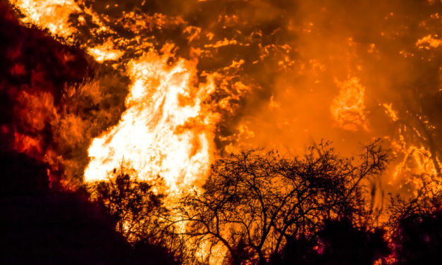 PG&E Filing for Bankruptcy While CEO Walks Away With Millions