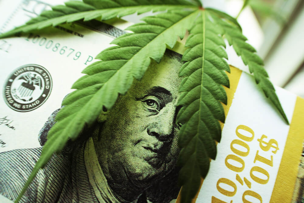 cannabis stocks