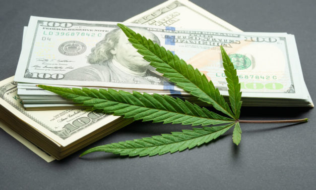 Cannabis Earnings: The 3 Biggest Pot Stocks Are About to Light Up