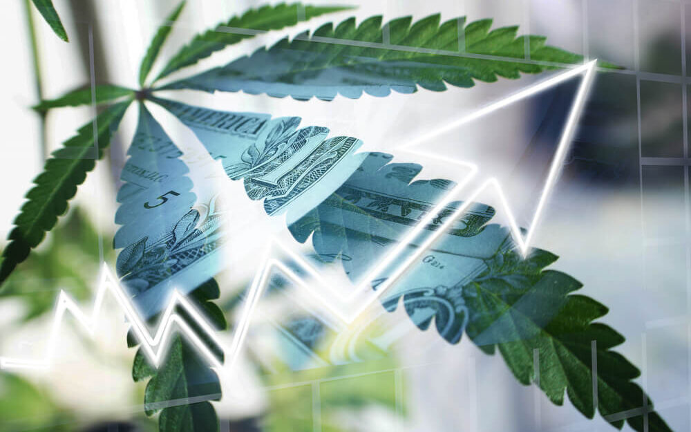 Buy ACB Stock as It Bottoms Out? What Cannabis Power Ratings Say