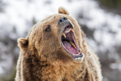 Spot Bearish Moments With One Inflation Trend