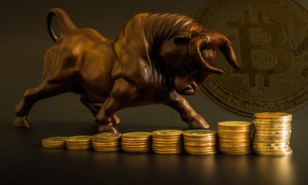 Bitcoin Blockchain: Not a Bull? You Will Be…