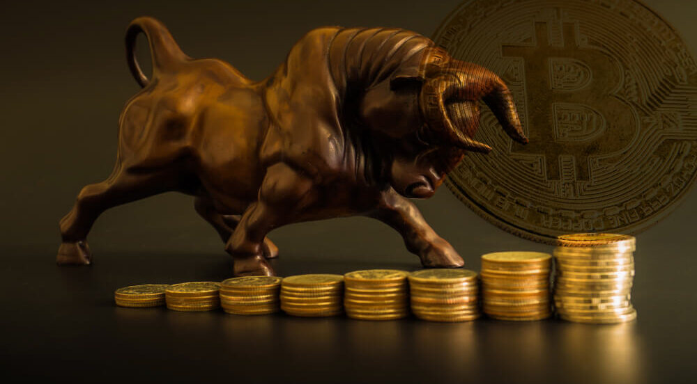 Bitcoin Blockchain: Not a Bull? You Will Be…