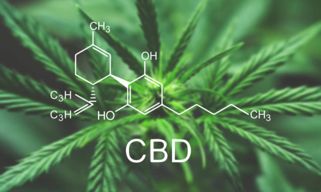 Brodrick: Chart Shows Why CBD Use, Cannabis Stocks Are Soaring