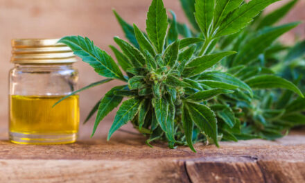 cannabis-CBD Charlottes Web Holdings stock