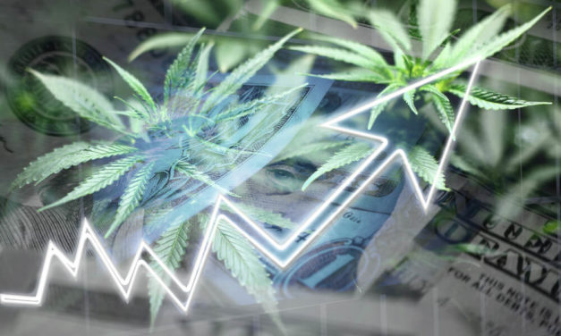 Cannabis Stocks on Fire for Second Day in a Row