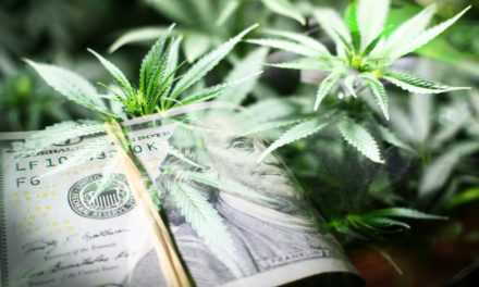 Booming Cannabis Industry’s New Goals Emphasize Corporate Values