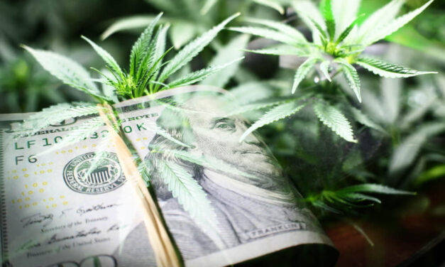 Marijuana Market Update: Why It’s Time to Get Back Into Pot Stocks